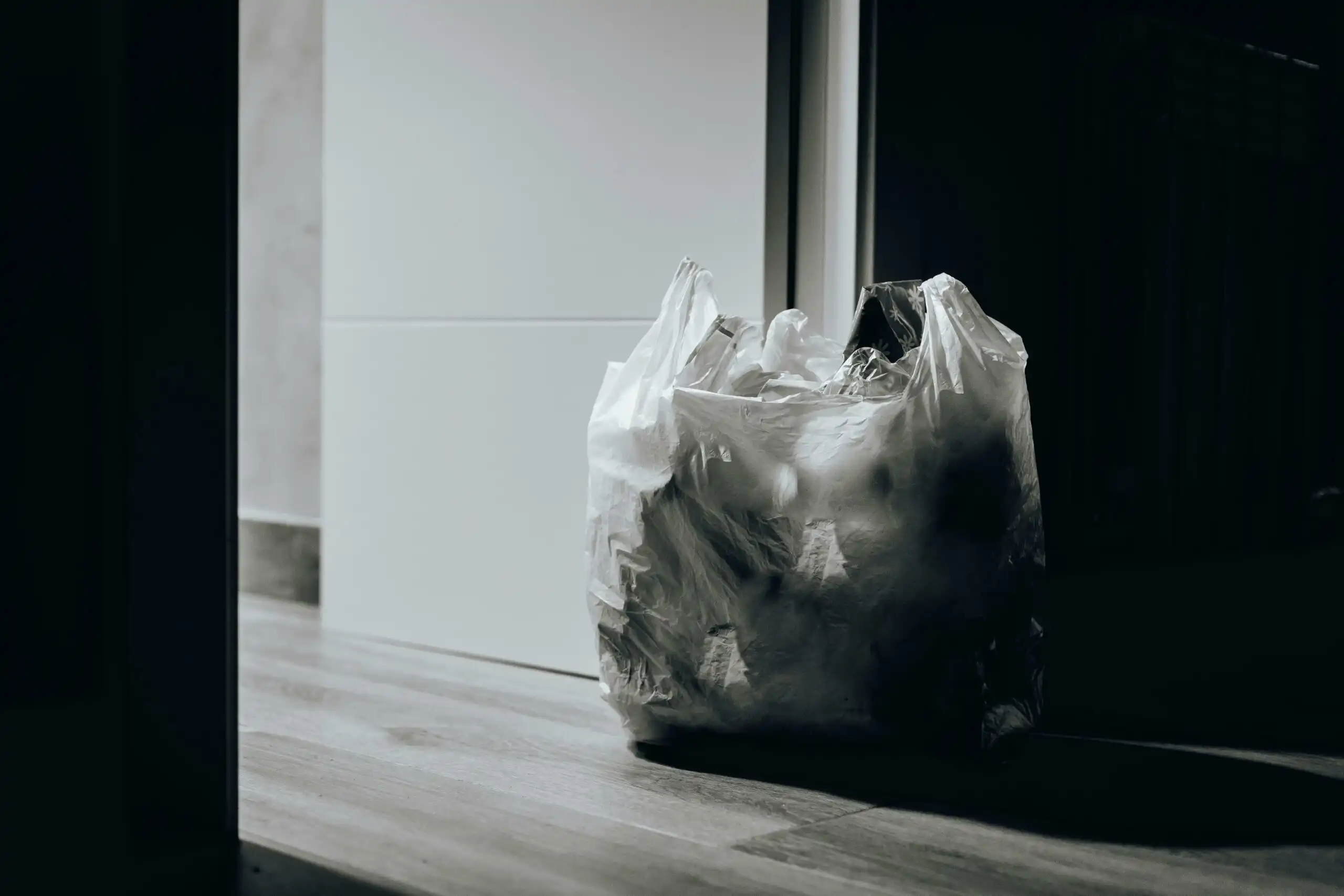 Pengganti Kantong Plastik