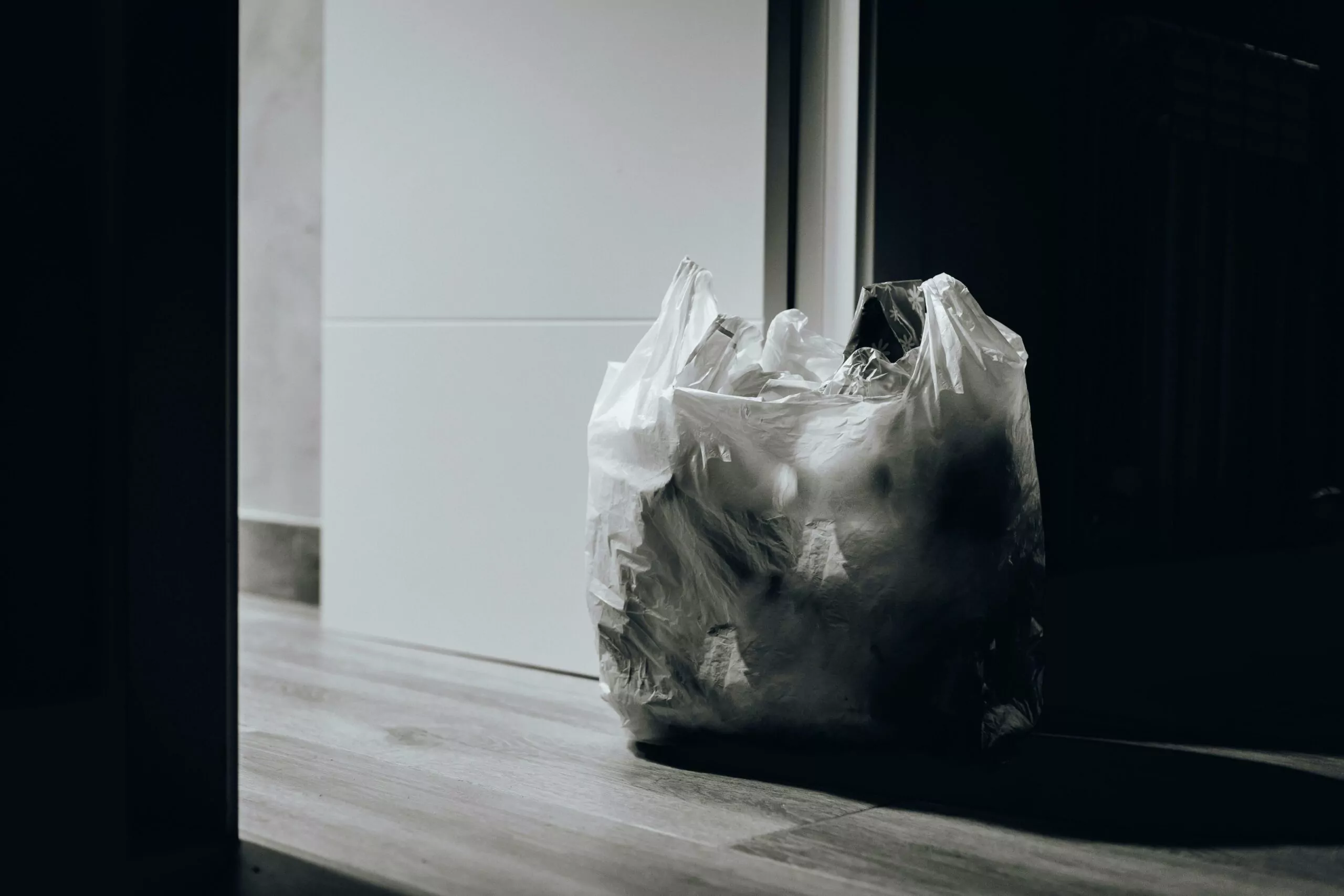Pengganti Kantong Plastik Pengganti Kantong Plastik