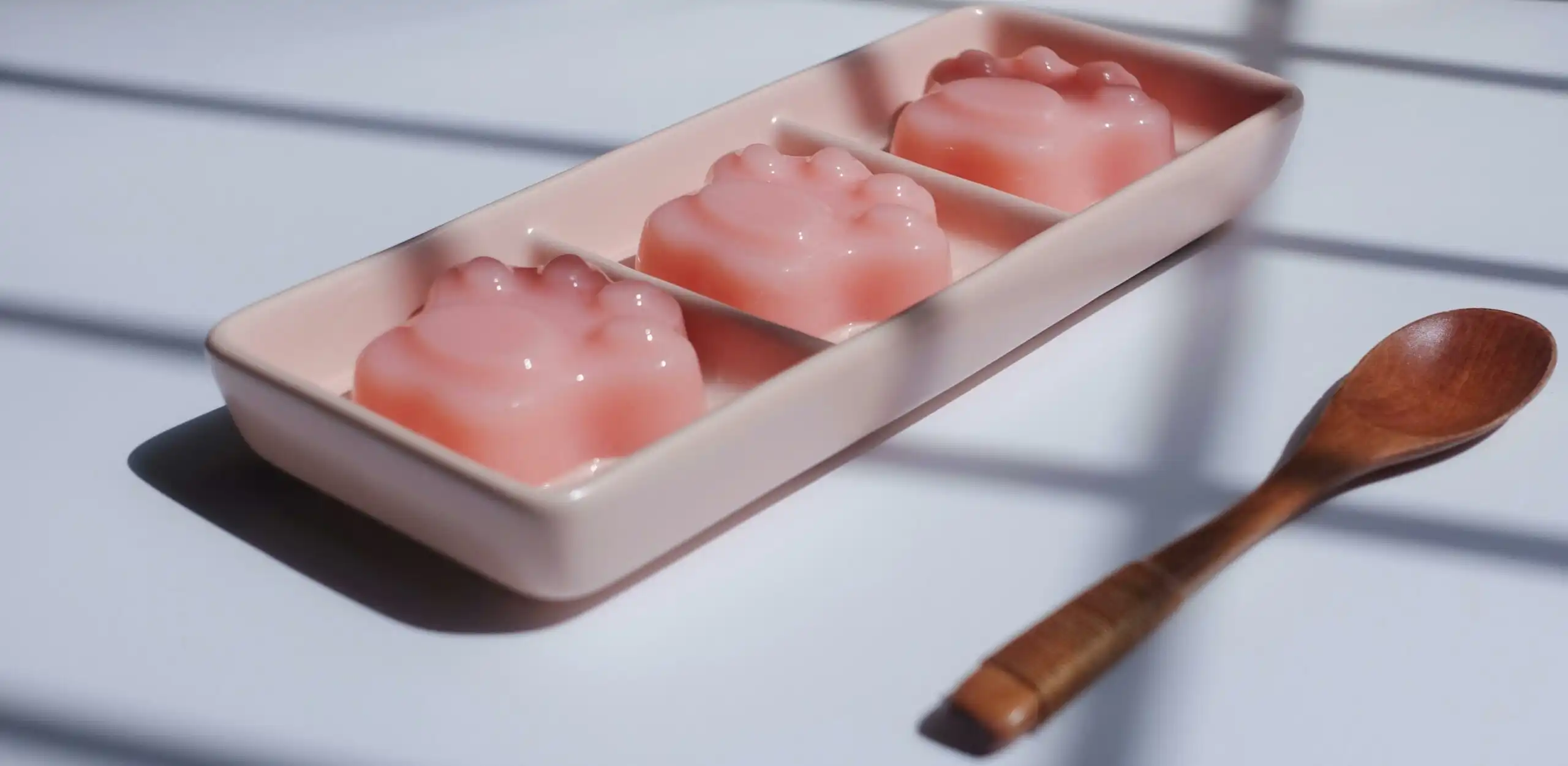 Bahan Agar Agar