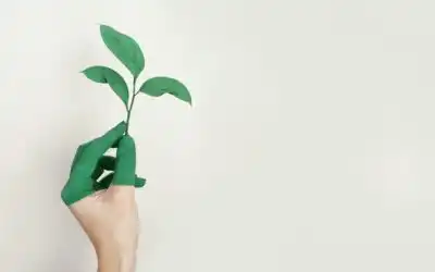 Ecoprint, Teknik Alami Cetak Kain Pola Unik