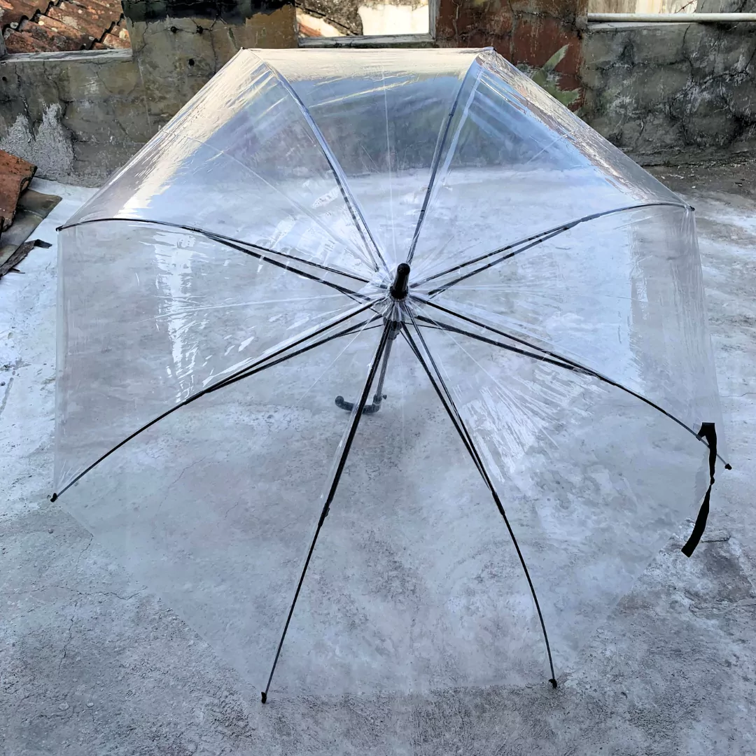 Payung Model Golf Dengan Desain Transparan (3)
