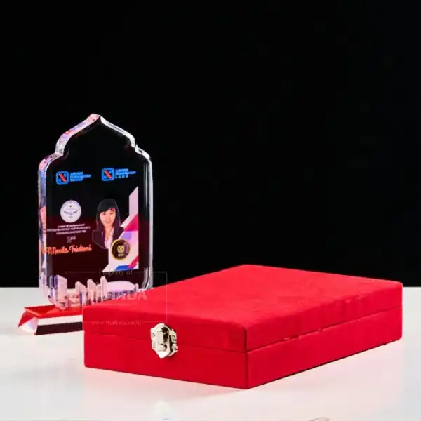 Box Packaging Plakat Bahan Bludru Warna Custom Dengan Busa (1)