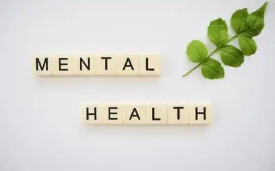 Contoh 15 Tema Seminar Kesehatan Mental