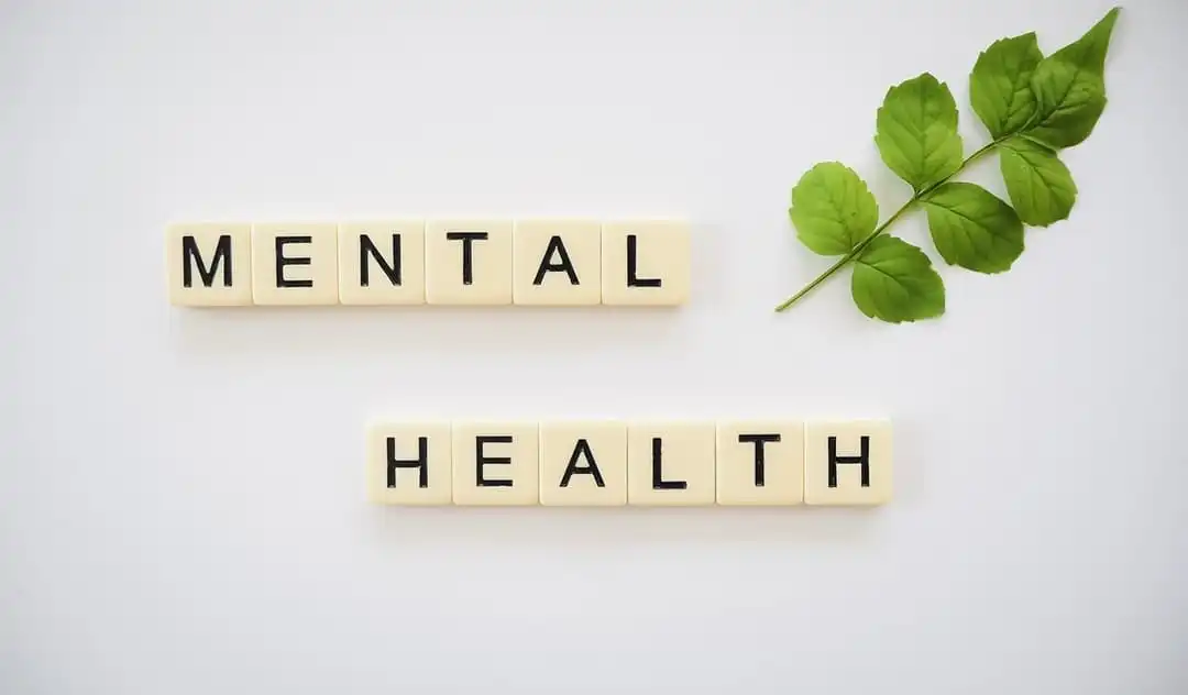 Contoh 15 Tema Seminar Kesehatan Mental