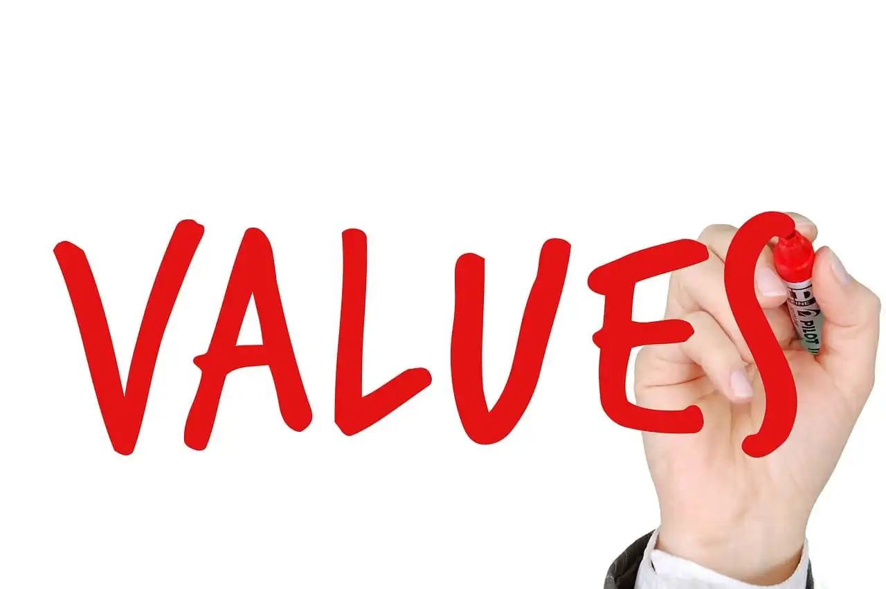 Apa Itu Core Value 