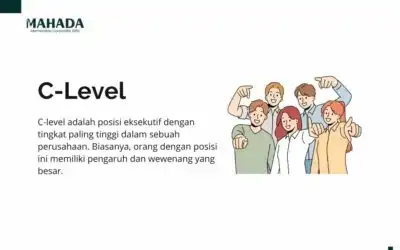 C-Level