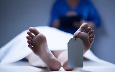 3 Contoh Surat Kuasa Ahli Waris Format .Docx