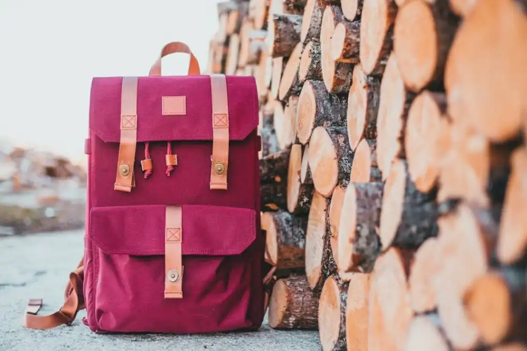 5. Travel Organizer Bag