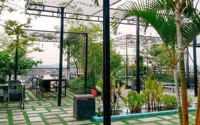 Tips Membuat Taman Kantor yang Nyaman untuk Karyawan dan Meningkatkan Citra Perusahaan